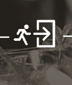 Yates Street Taphouse